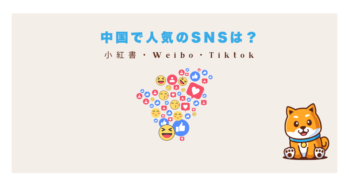 中国sns人気