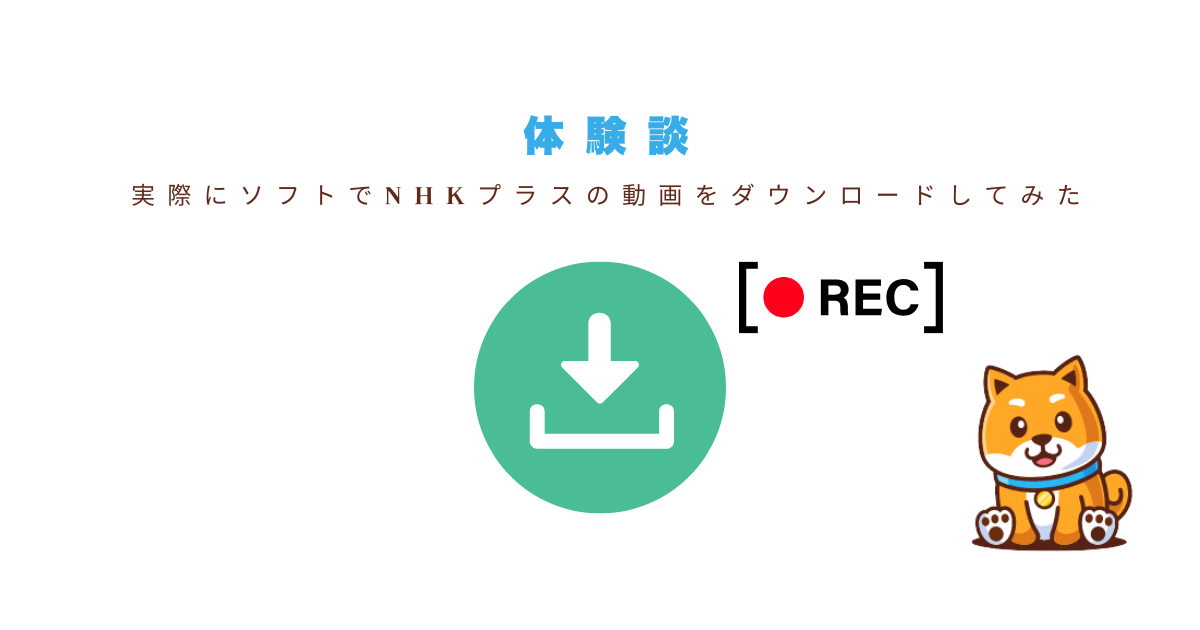 体験談：ソフト＋VPNで快適に楽しめた実例